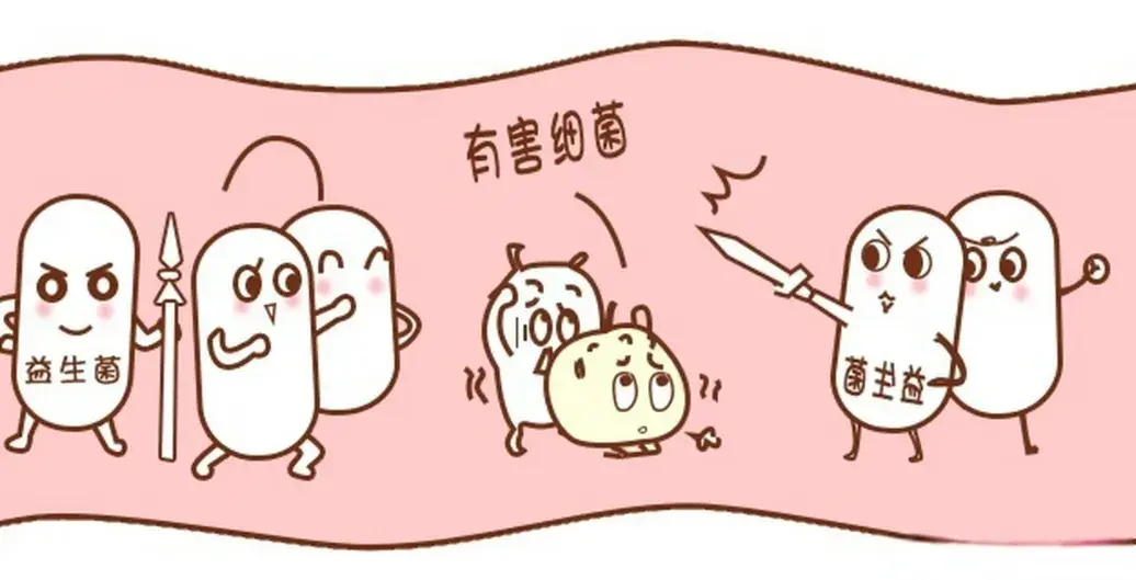 双歧杆菌治便秘?饭前吃还是饭后吃? - 知乎