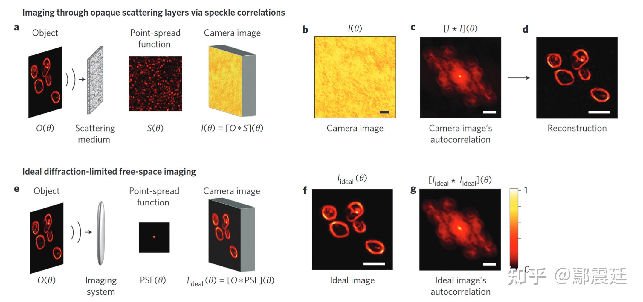 《利用散斑相关通过散射层和绕过角落的非侵入式单次成像技术》阅读笔记 - 知乎