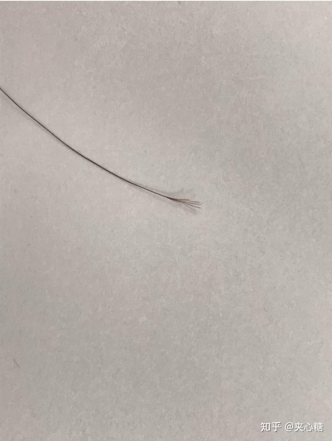 一根头发可以分叉成什么样? - 知乎