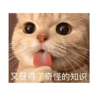 Zhihu profile picture for @manipulate