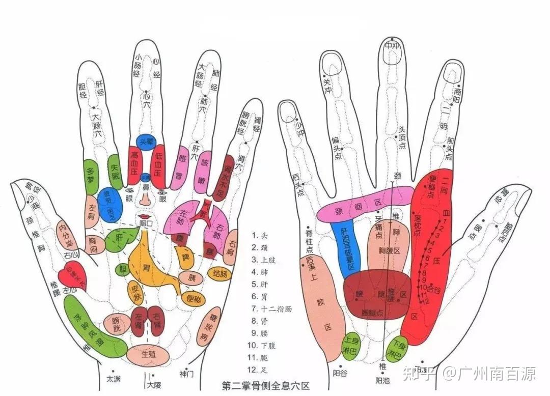 中医手诊,这才是真的大全! - 知乎