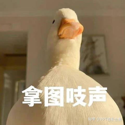 傻逼壁纸_合集,直接自取_风格大气画面自然惊艳到我 - 知乎