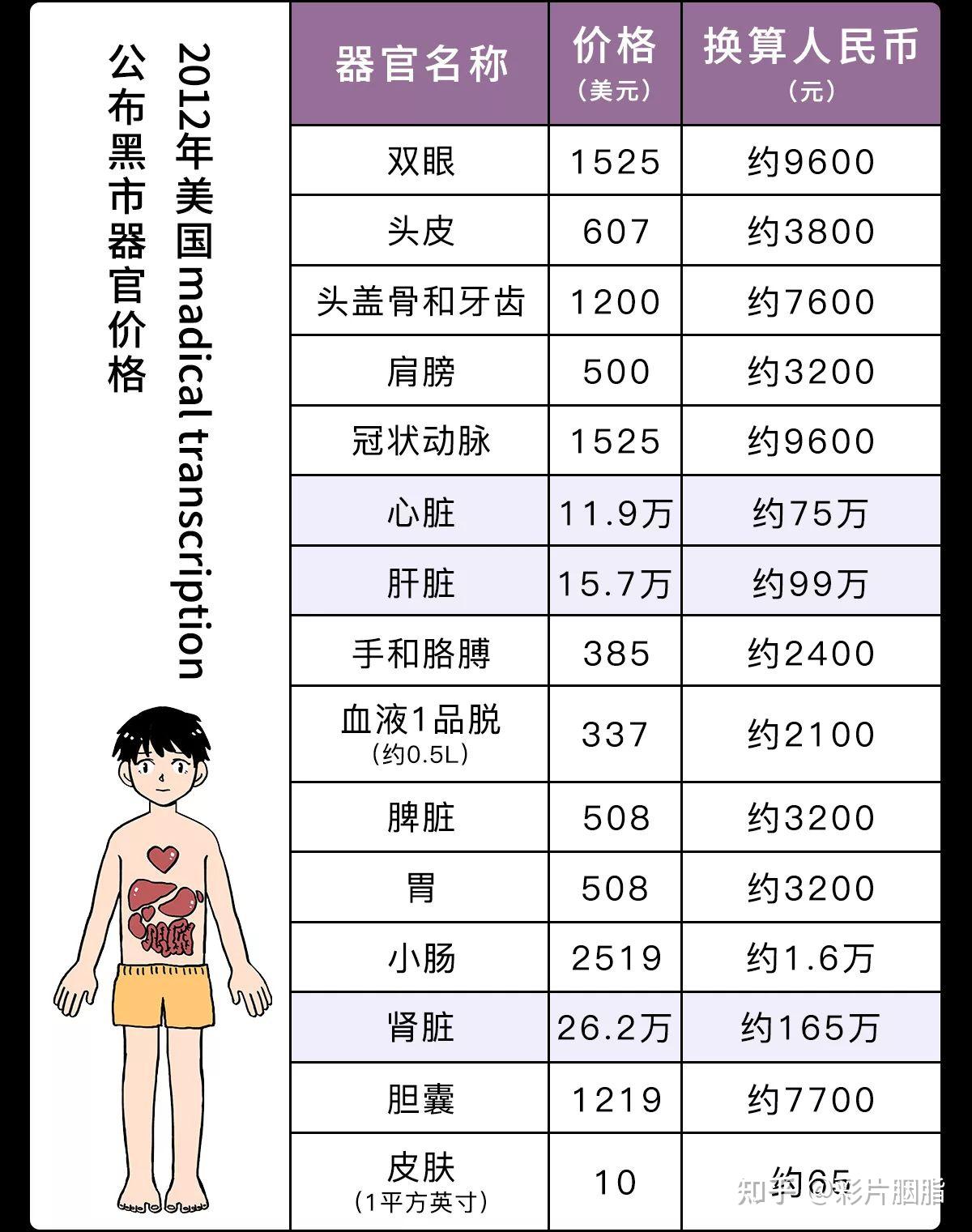 人体躯干内部的所有内脏都换一遍需要多少钱
