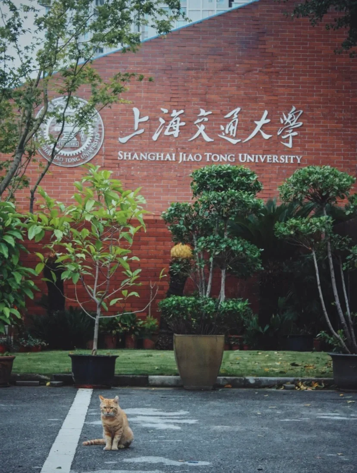 港澳台侨联考 : 上海交通大学录取数据详情