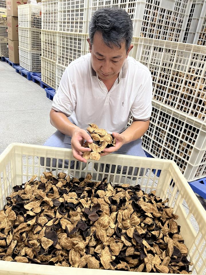 阿仁答读者问新会陈皮10大终极疑问,一次说清! - 知乎