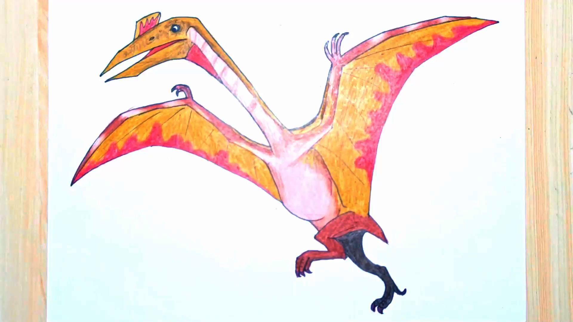 恐龙系列彩铅画怎样绘画风神翼龙