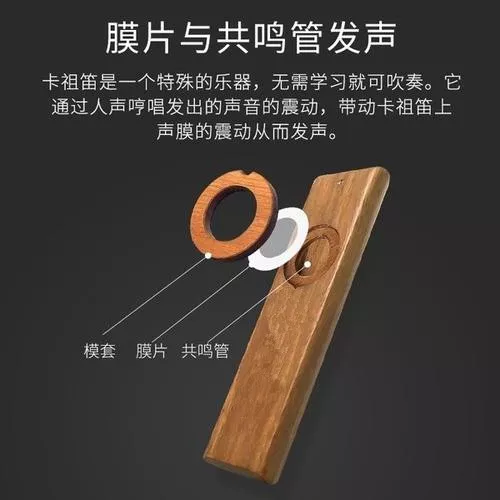 学生党有什么特别简单小巧的乐器
