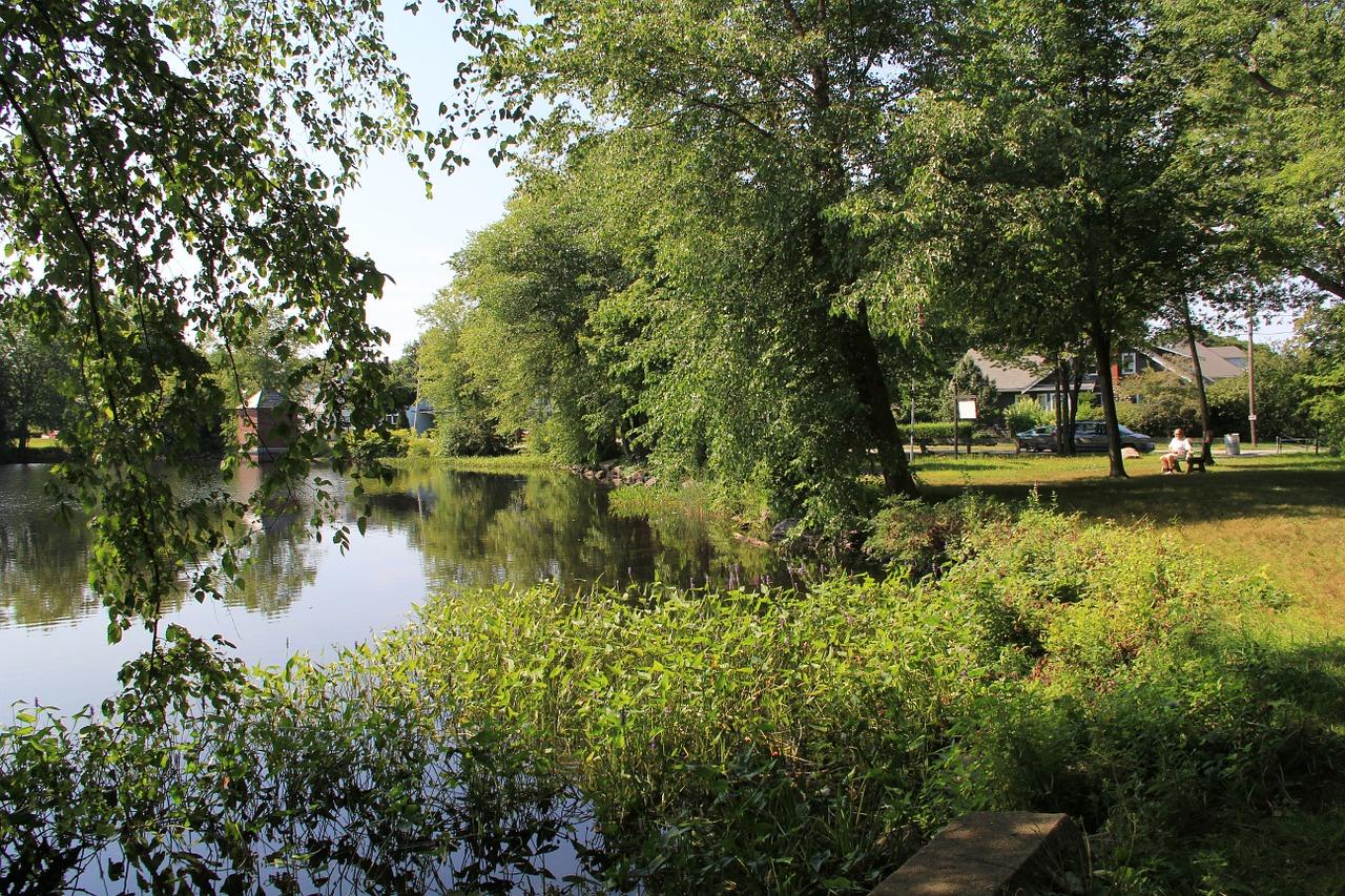 3. 夏季树荫降温量