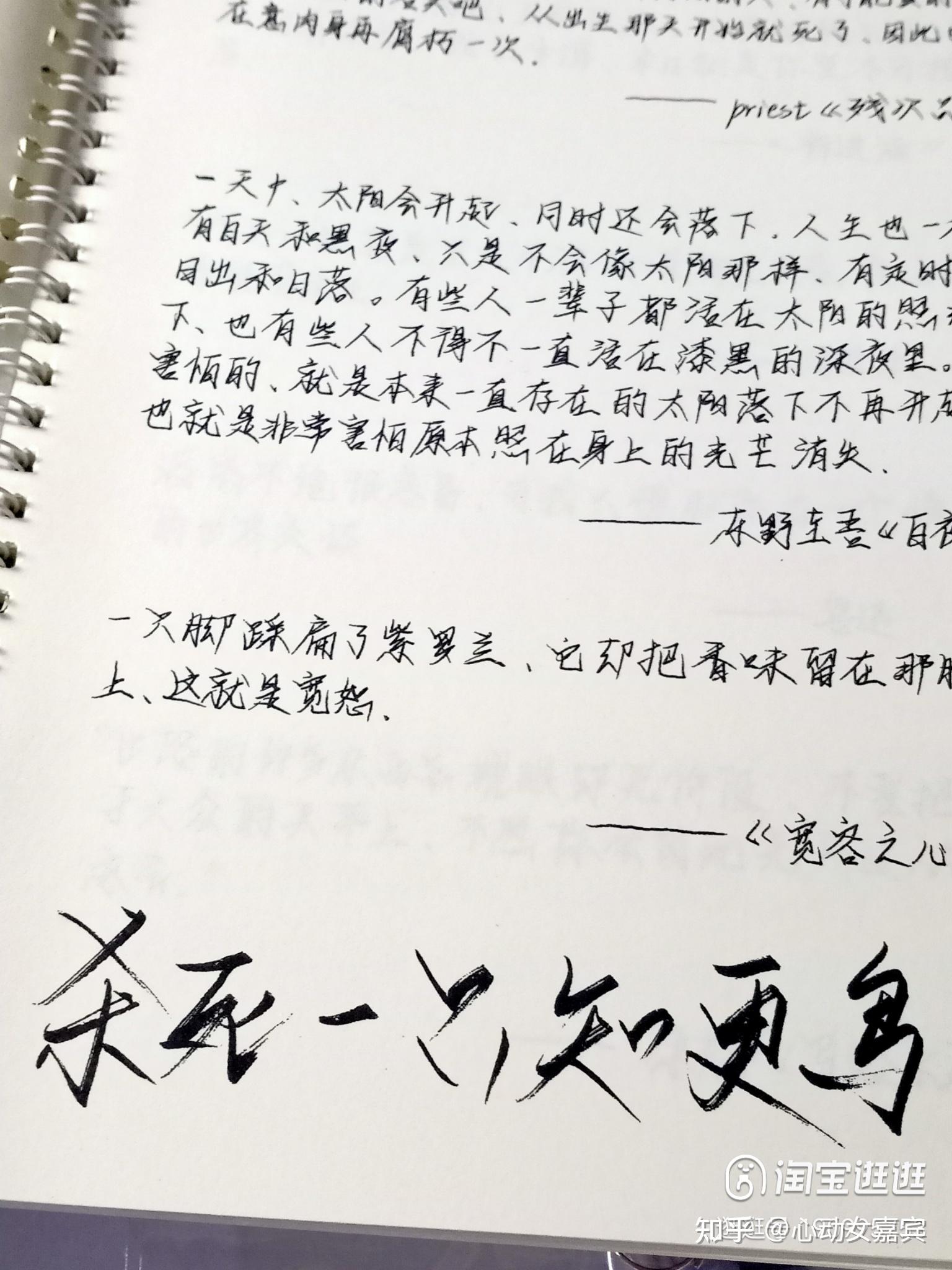 如何评价归野体