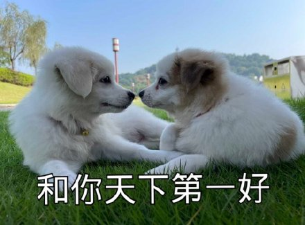 想要比较好看温馨的抱抱表情包 求推? - 知乎