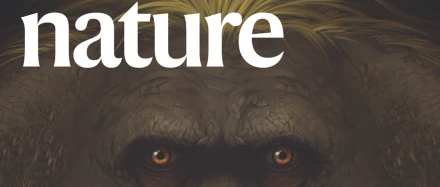 Nature | 北京大学龚旗煌、朱瑞与合作者在反式结构钙钛矿太阳能电池研究中取得重要进展 - 知乎
