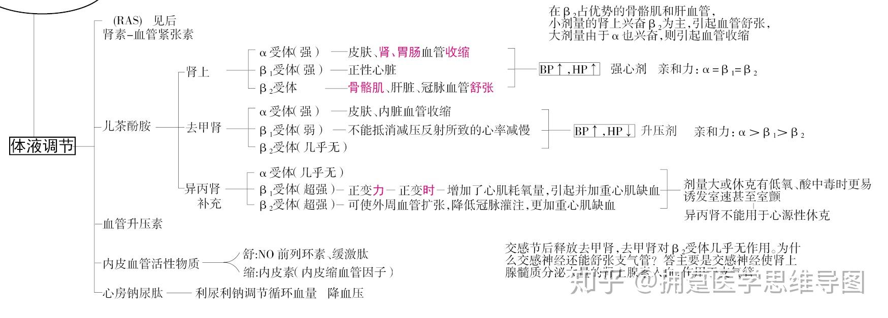 怎样巧记mnαβ受体的分布和作用