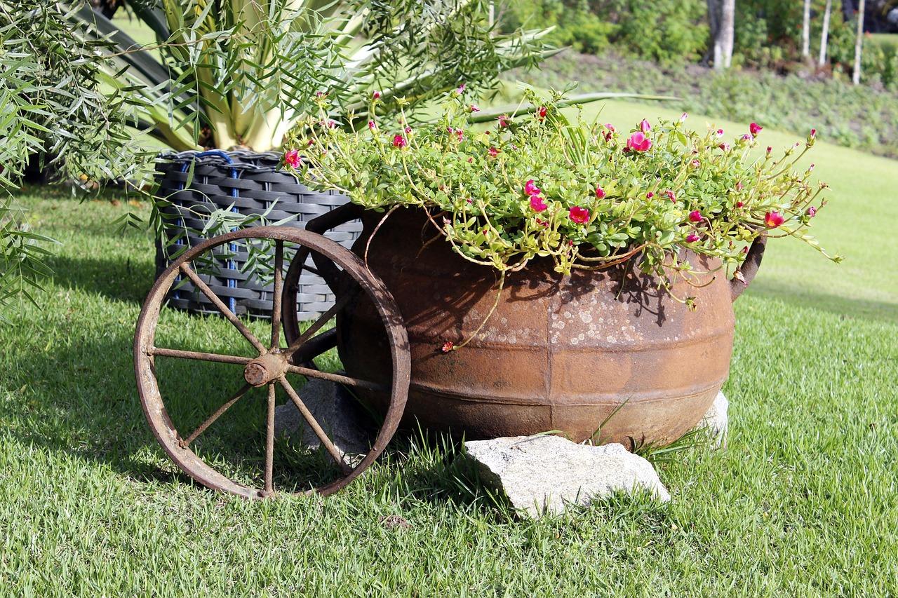 默默奉献，美化家园