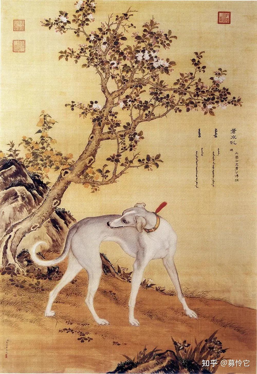 古代的狗长什么样? - 知乎