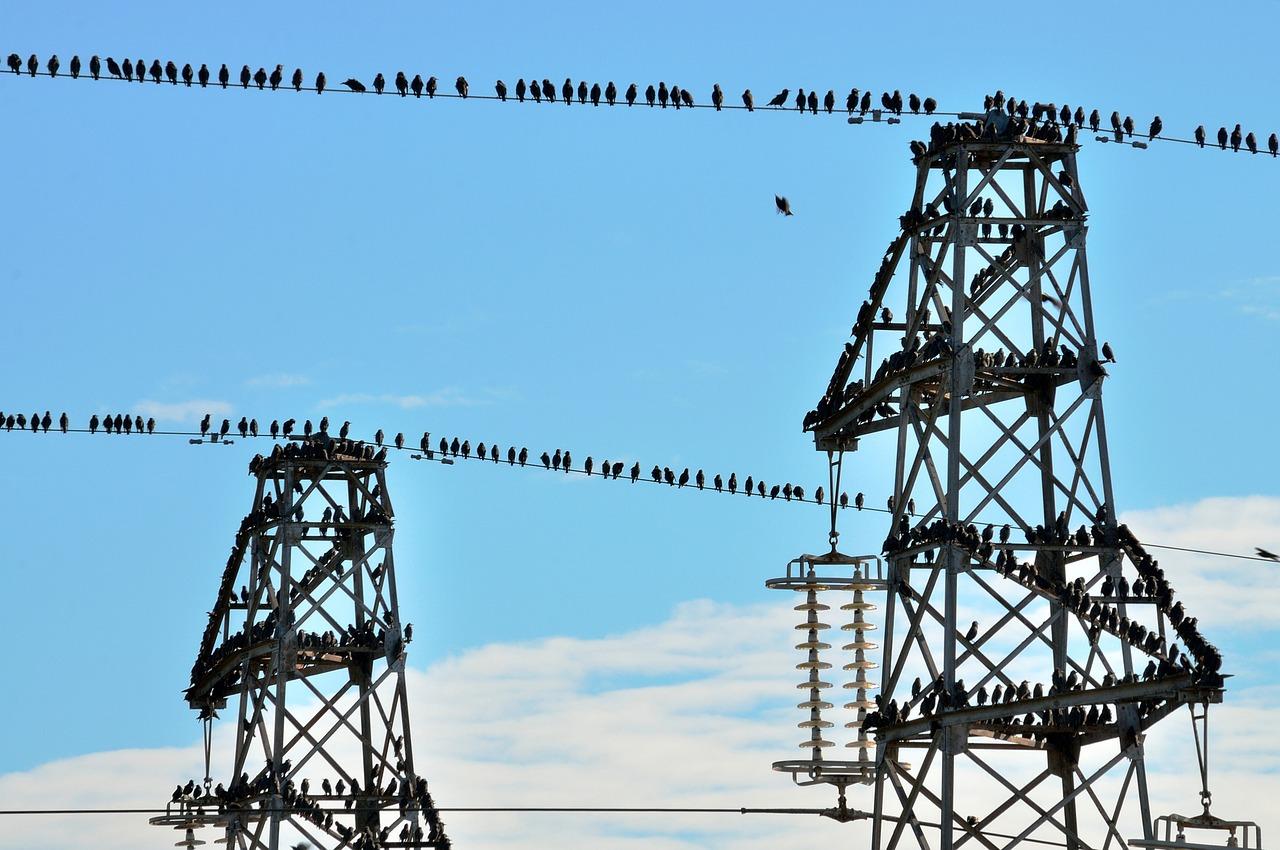 防腐木廊架多少钱