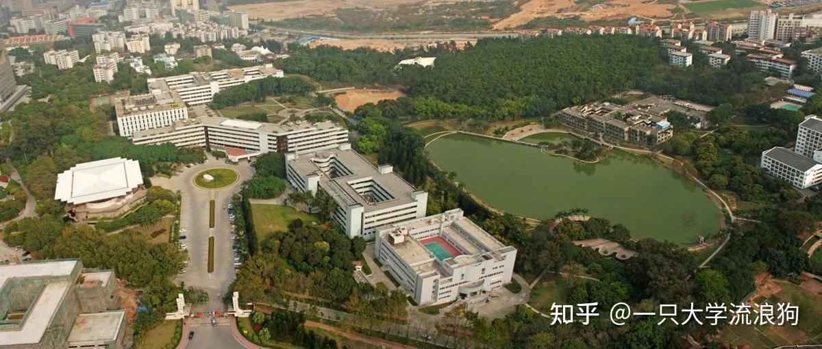 深圳美术类大学图片