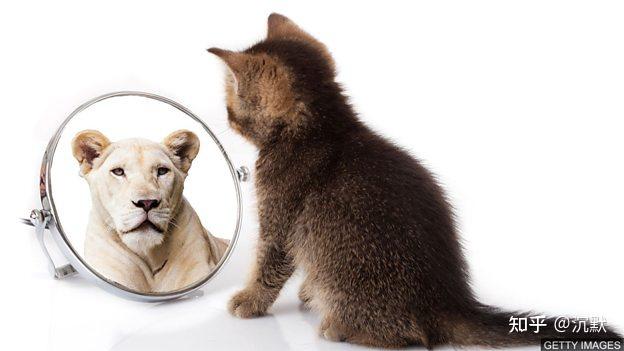 BBC英语学习：Brave, valiant, courage 辨析三个表 “勇敢” 的词 - 知乎