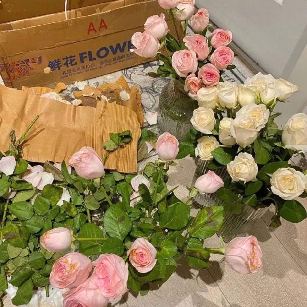 有哪些好看的微信背景图? - 知乎