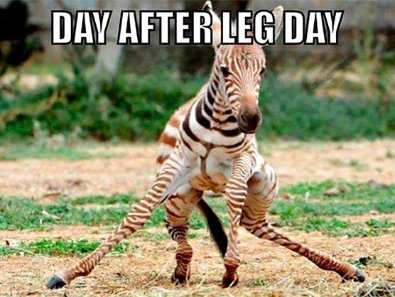 如何迅速缓解由于运动过度造成的肌肉酸痛? - 知乎