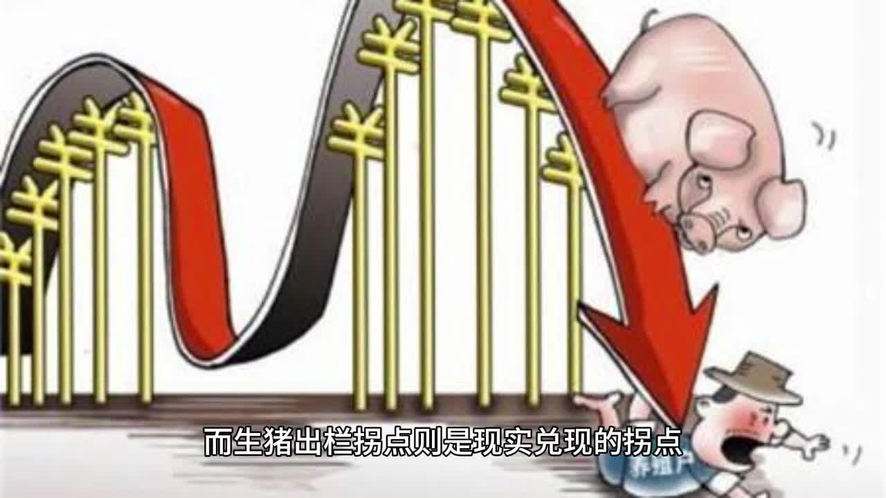 生猪期货走势如何