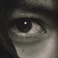 Zhihu profile picture for @exquisitely