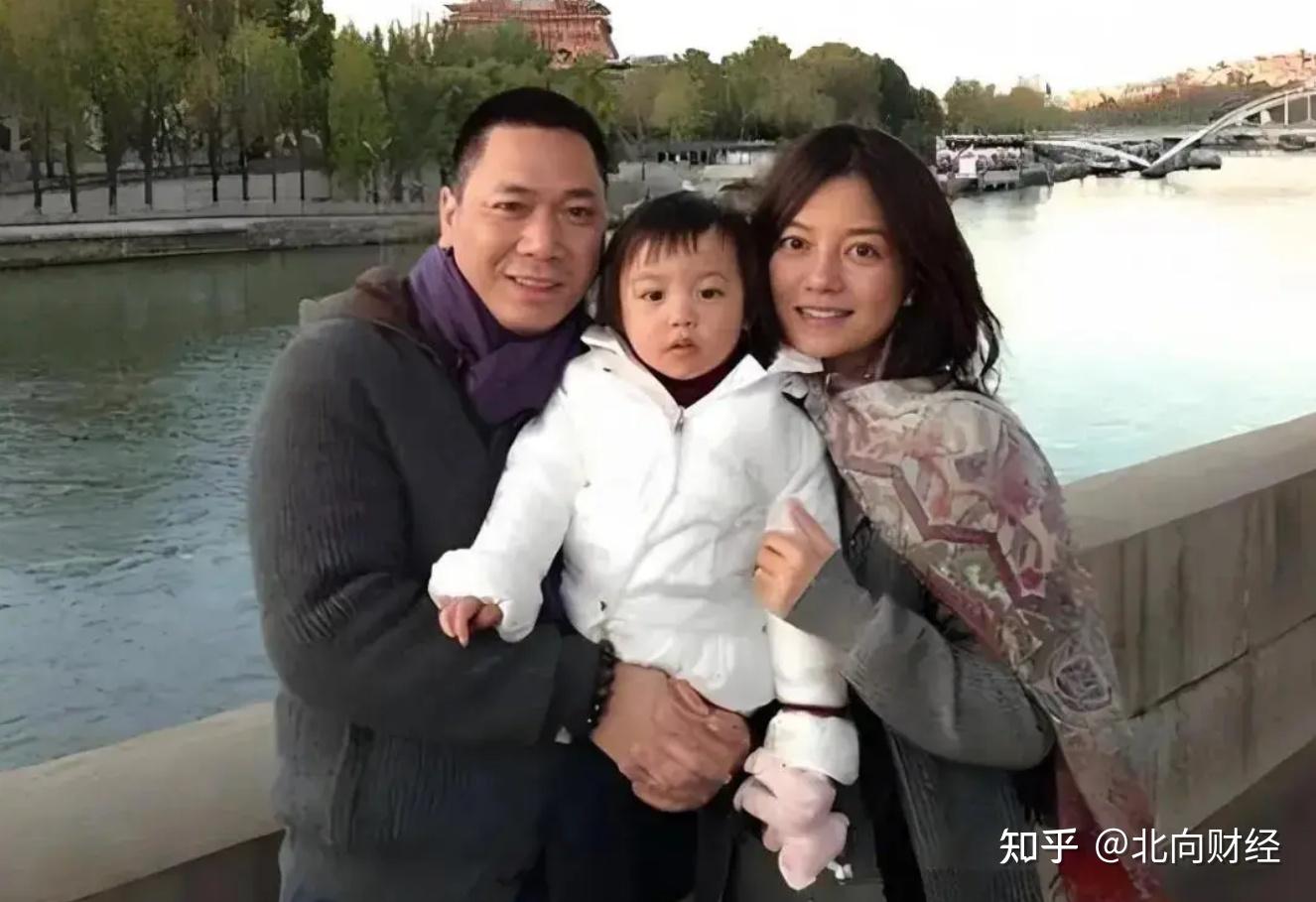 捞够了就离婚赵薇前夫被追债超75亿背后的水有多深