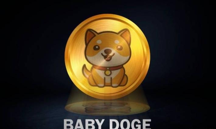 babydoge2022年图片
