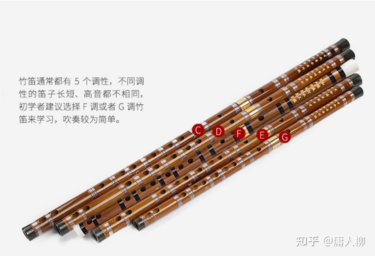 笛子入门推荐:笛子初学选什么调?什么品牌的笛子好用 - 知乎