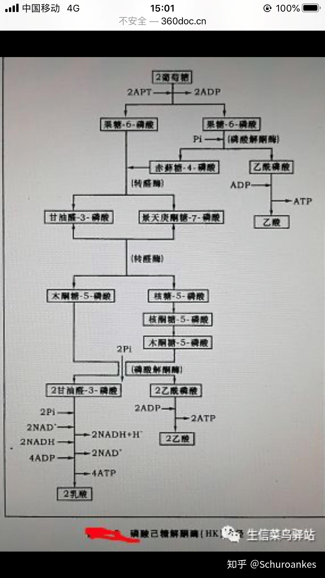 emp途径 方程式图片