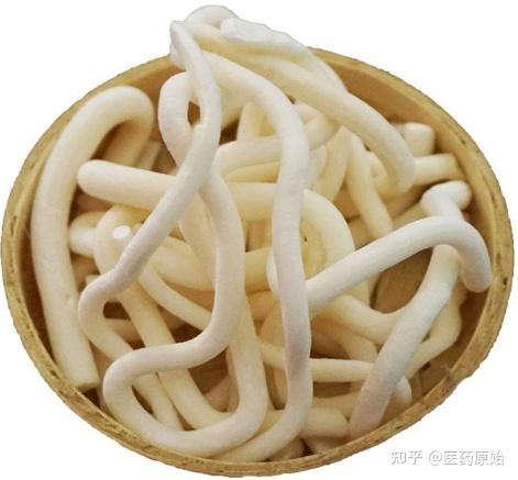 带你识别小通草 - 知乎
