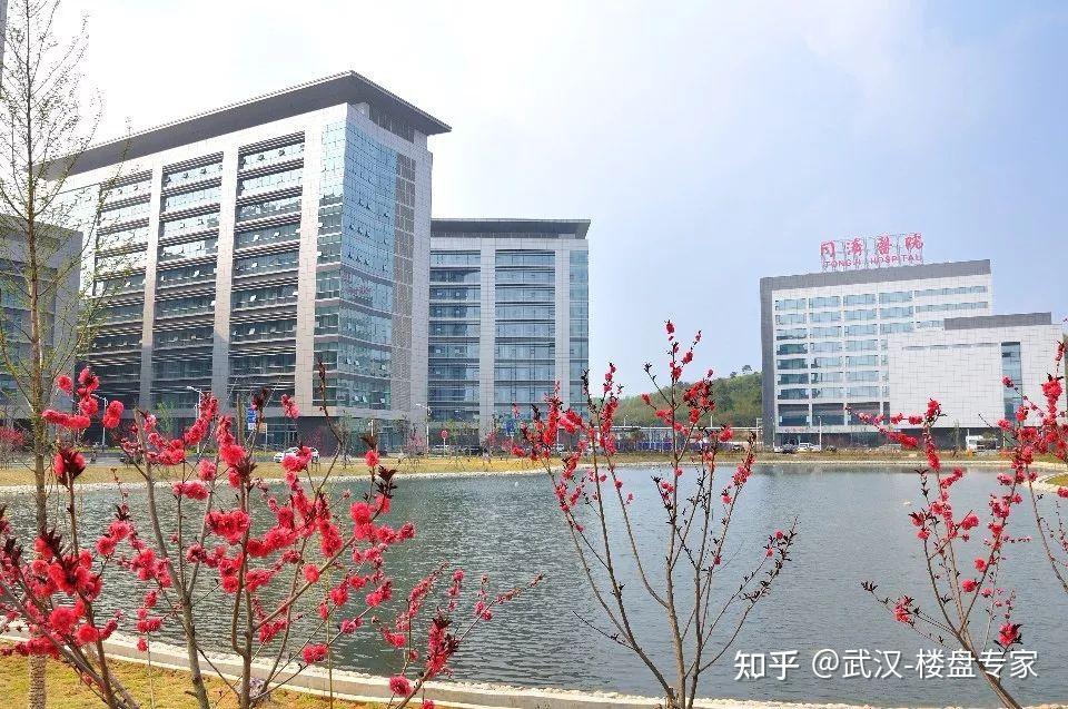 光谷三路的房子是否值得入手?