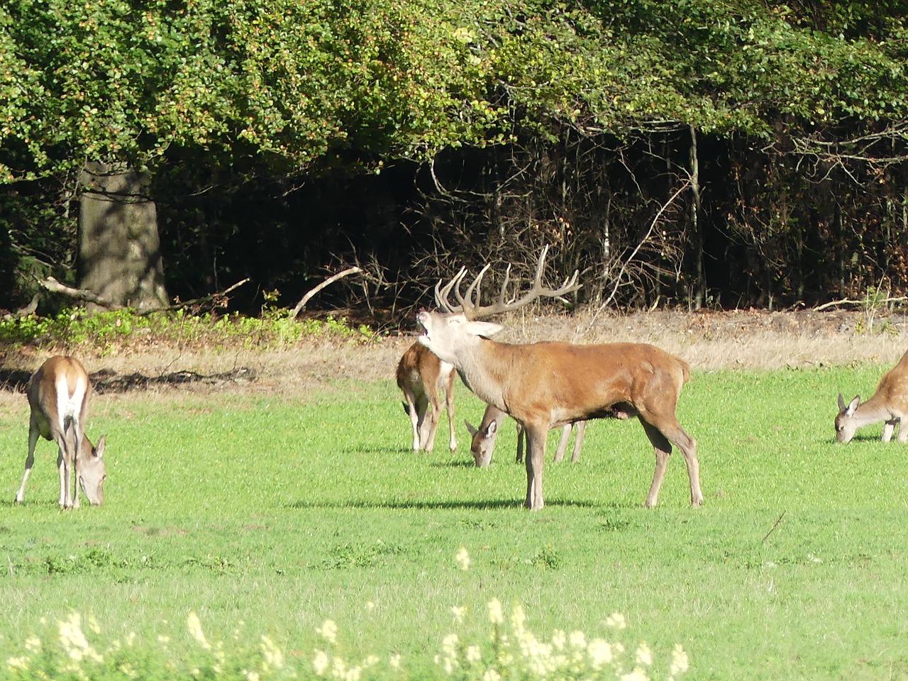 核心地段房产投资佳