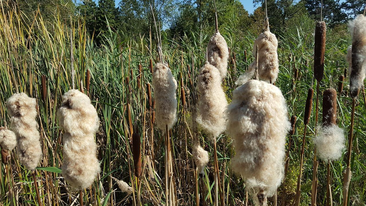 3. 绿色节能升级