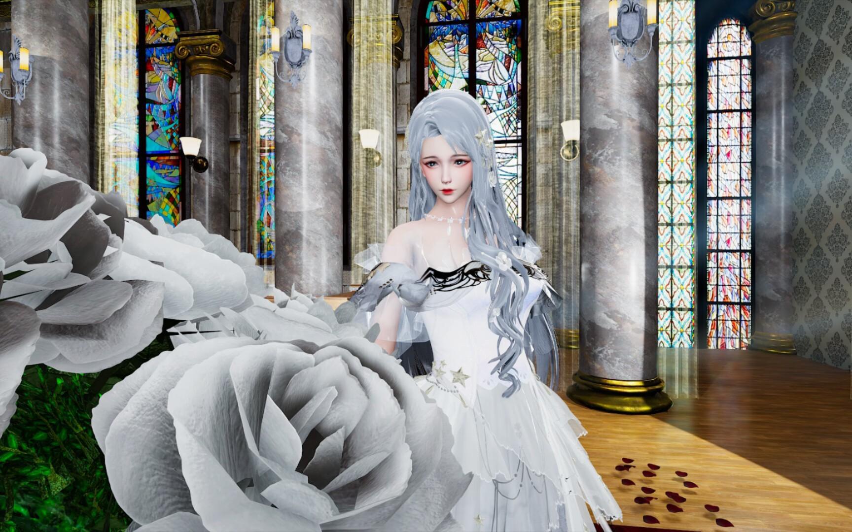 第七期纯白の花嫁，hs2