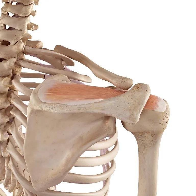 冈上肌肌腱炎是否可以注射封闭治疗,疗效怎么样? - 知乎