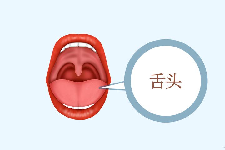 【不知道你是哪一种肾虚?这里有4种舌象分析,可以对照看看!】 - 知乎