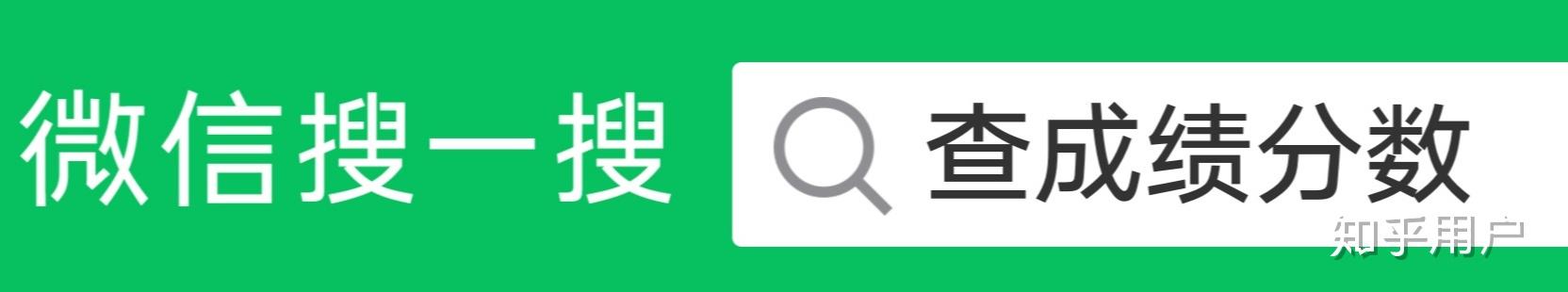 智学网，怎么查成绩？