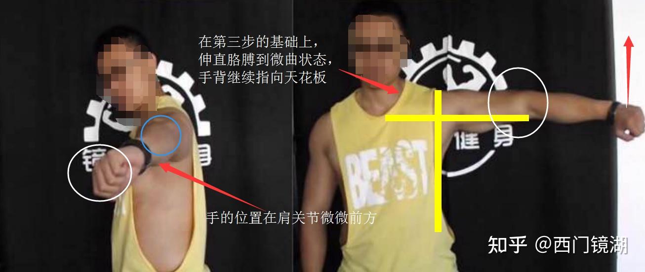 如何做标准的哑铃侧平举？ - 知乎