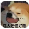 只谈风月dog东xi