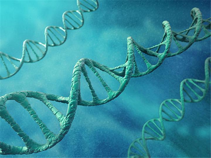 科学了解,痛风的诱因是什么? - 知乎