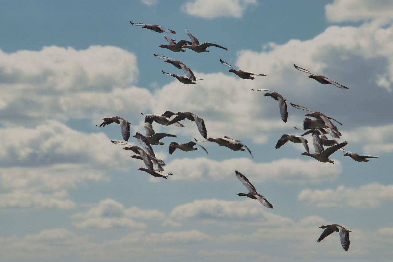 3. 防寒保暖措施