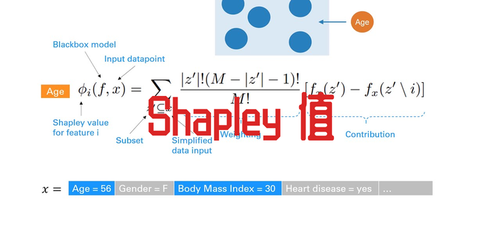 shapley-python