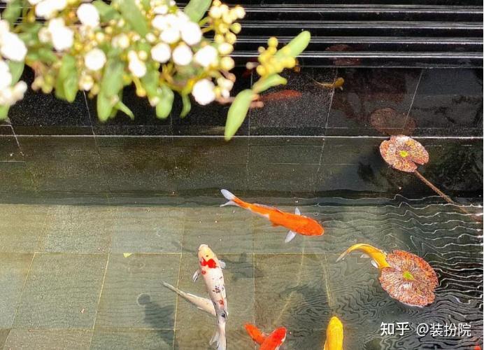 青岛装扮院花园设计│打造适合父母养老的中式庭院 - 知乎