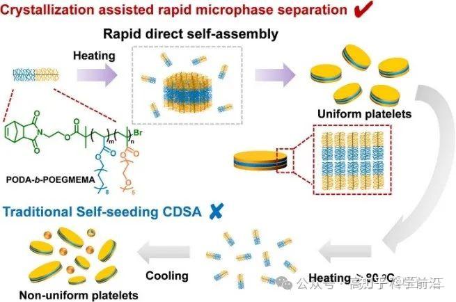 天津科技大学程博闻教授团队《JACS》:瓶刷状半结晶嵌段共聚物自组装快速构筑尺寸均匀二维片状胶束 - 知乎