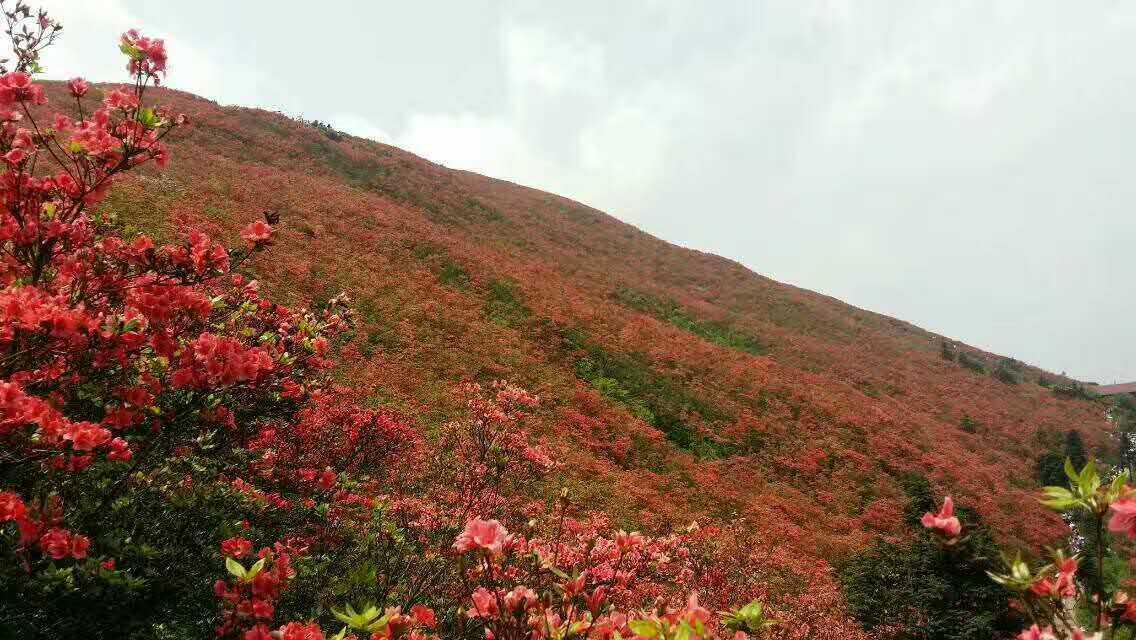 贵州旅游景点有哪些推荐？