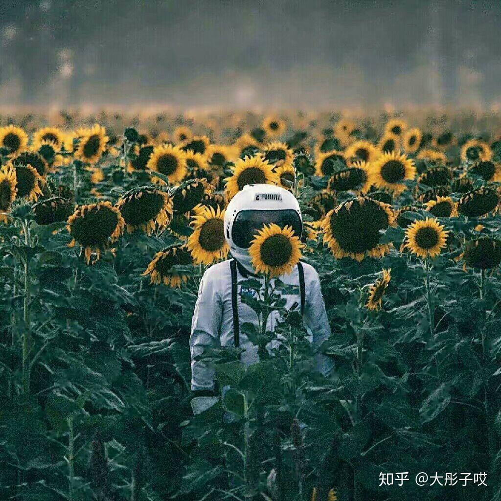 有没有那些很有深度和内涵的头像? - 知乎