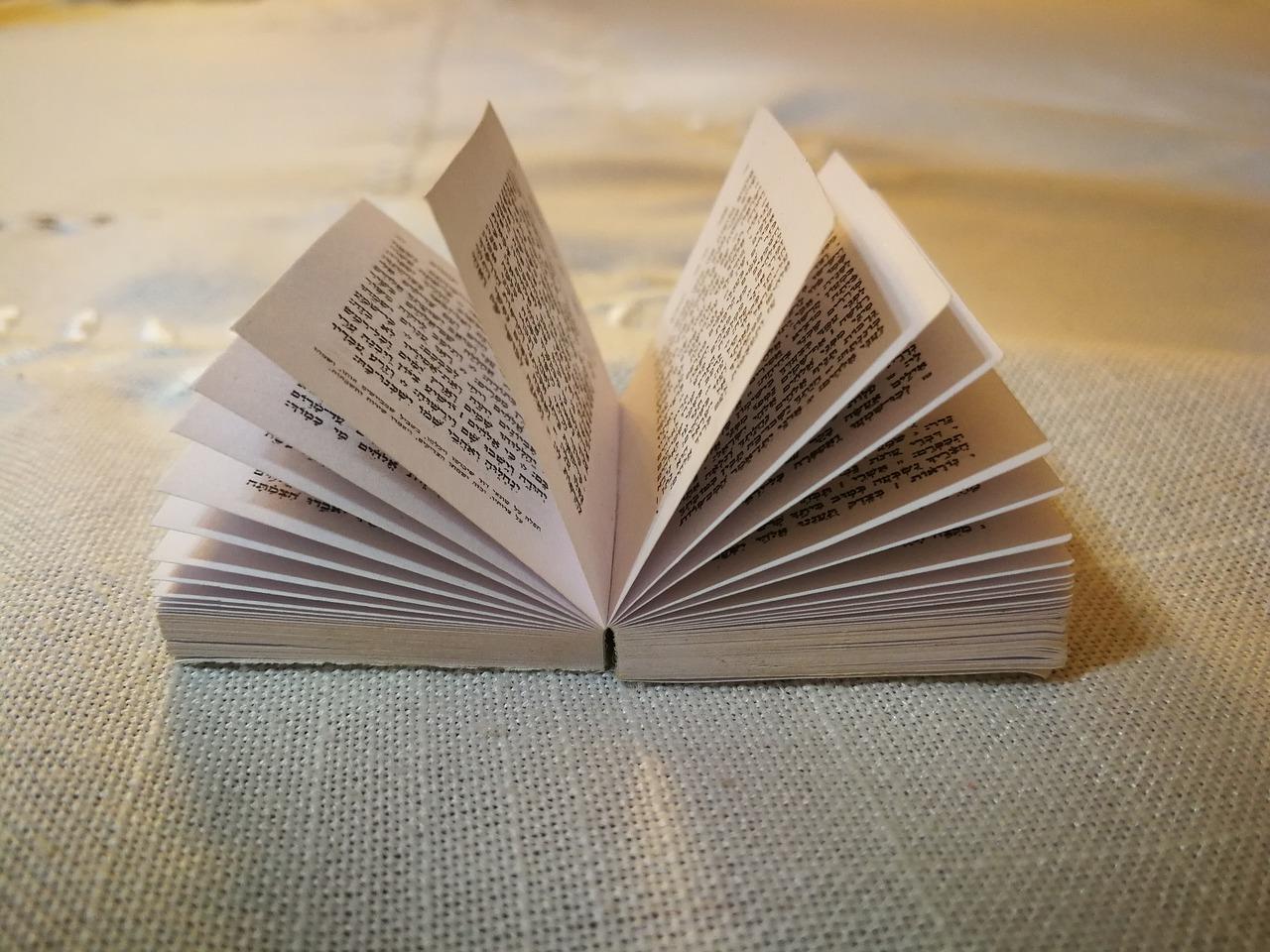 故乡新貌，变迁见证