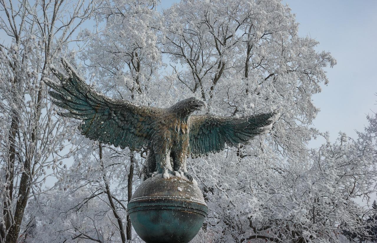 4. 选择抗寒品种