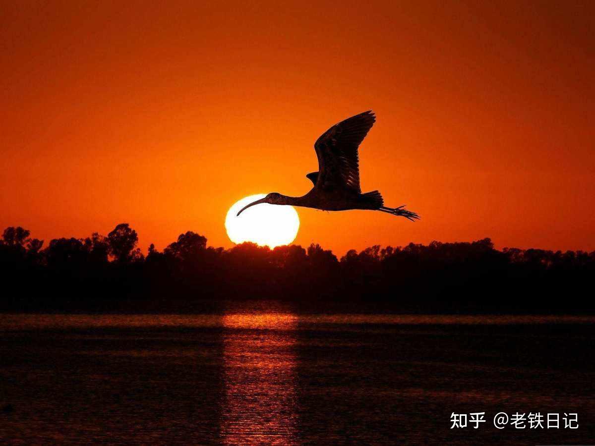 如何赏析「落霞与孤鹜齐飞,秋水共长天一色」这句诗词? - 知乎