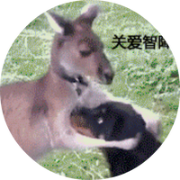 哈工大王爱杰团队李智灵课题组2026年秋季博士招生 - 知乎